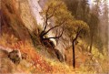 Landscape Study Yosemite California Albert Bierstadt